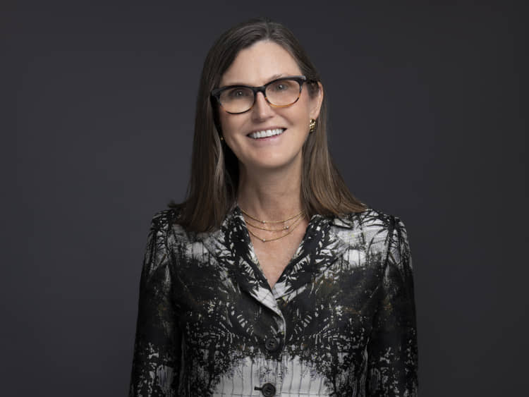 Wood Cathie ARK Invest ARK Investment Management LLC etf Rize ETF