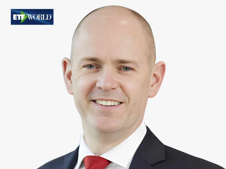 Fitzgerald Mark Vanguard