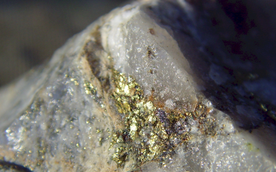 oro c