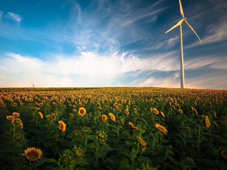 Solactive ESG
